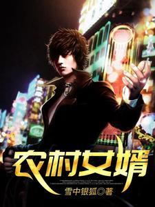 农村女婿与富家千金