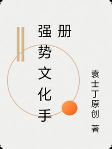 强势文化的书