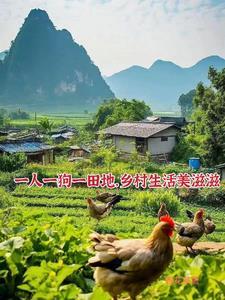 最强小神医 阅读