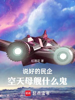 空天母舰什么鬼篱笆好文学