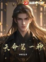 天命神相简介