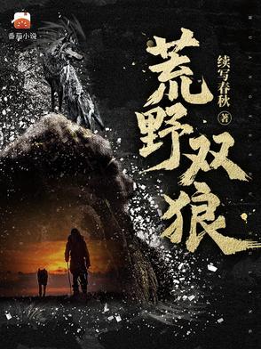荒野双枪操作