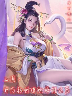 三国何进