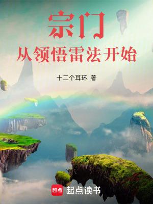 宗门从领悟雷法开始篱笆文学
