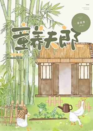 裴家夫郎资源