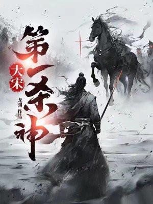 大宋第一杀神沈红袖结局
