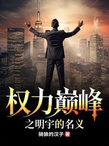 权力巅峰之明宇的名义动画