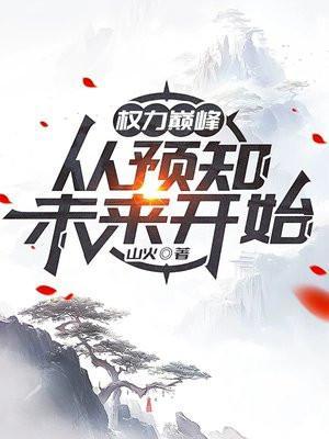 权力巅峰后续还有吗