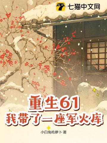 带着厂库重生到六零