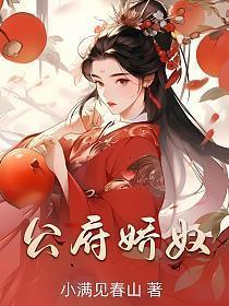 公府娇奴讲什么