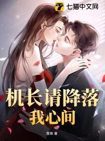 机长降落视频