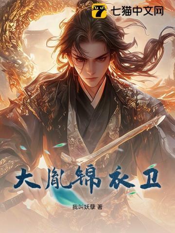 宋朝锦衣卫