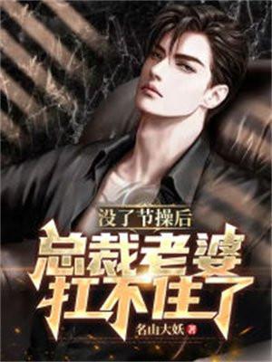 总裁你节操掉了