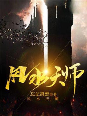 风水天师文