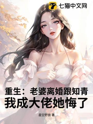 重生之老婆总要离婚