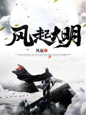 大明风云之再起风云