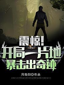 震惊开局一片地暴击出奇迹