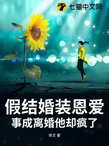 假装结个婚免费阅读