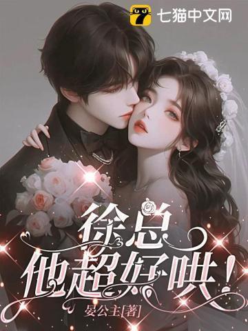 徐总他超好哄免费阅读