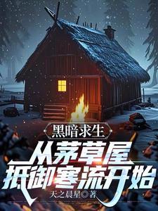 黑暗求生从茅草屋抵御寒流开始