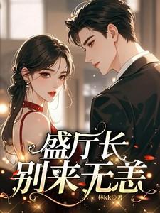 盛厅长别来无恙免费完整版