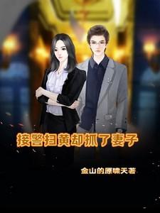 接警扫黄却抓了妻子第九十四章