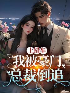 总裁上错车听