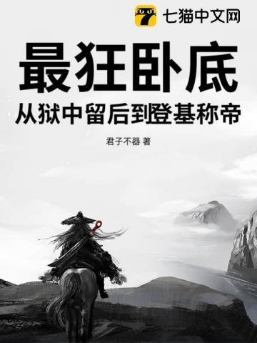 史上最成功的卧底