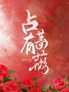 占有蔷薇沈京肆