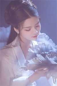 女主陆昭的
