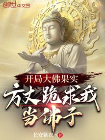 开局佛门大渡化术