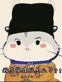 明末我崇祯摆烂怎么了?!第三中文网