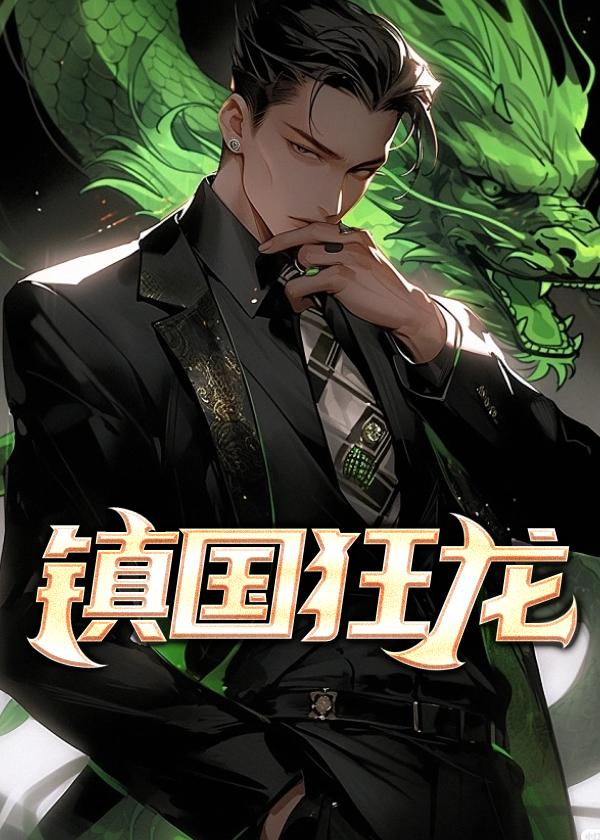 镇国龙将