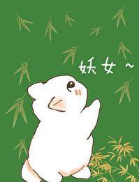 穿成合欢宗女弟子