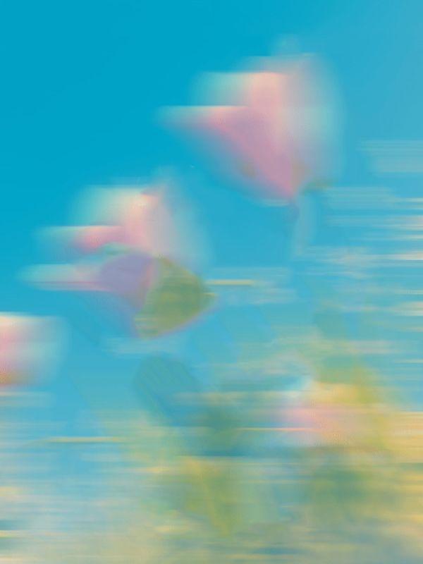 成了失信人员后的生活