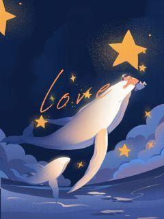 明月高悬夜空