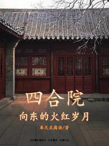 四合院向东的火红岁月作者奉天豆腐汤