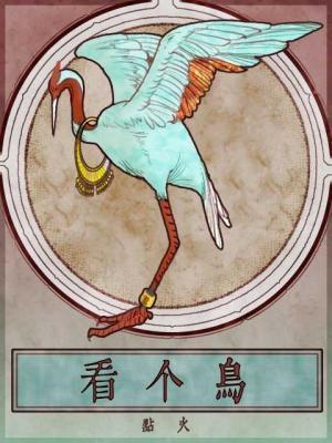 看个鸟什么意思