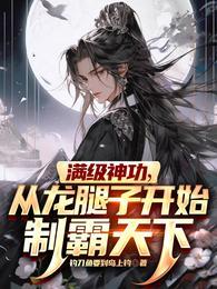 满级神功从龙腿子开始制霸天下写的怎么样