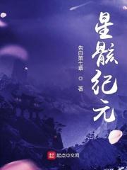 星骸骑士百科