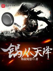 锅从天降11