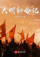 大明新皇