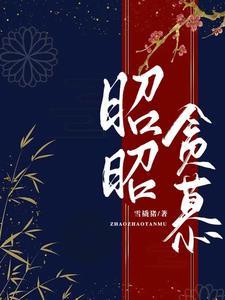 作者叫昭昭的