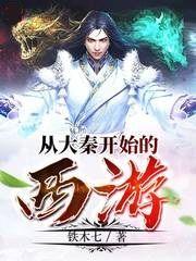 从大秦开始的西游作者铁木七