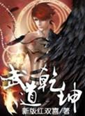 武道乾坤黑暗版全部章节目录