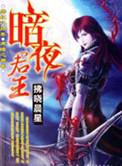 暗夜君王2