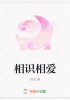 相识相爱相守在线阅读