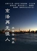 京洛再无佳人TXT