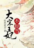 大宋王妃不好当txt百度资源