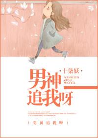 男神追妻指南叫什么